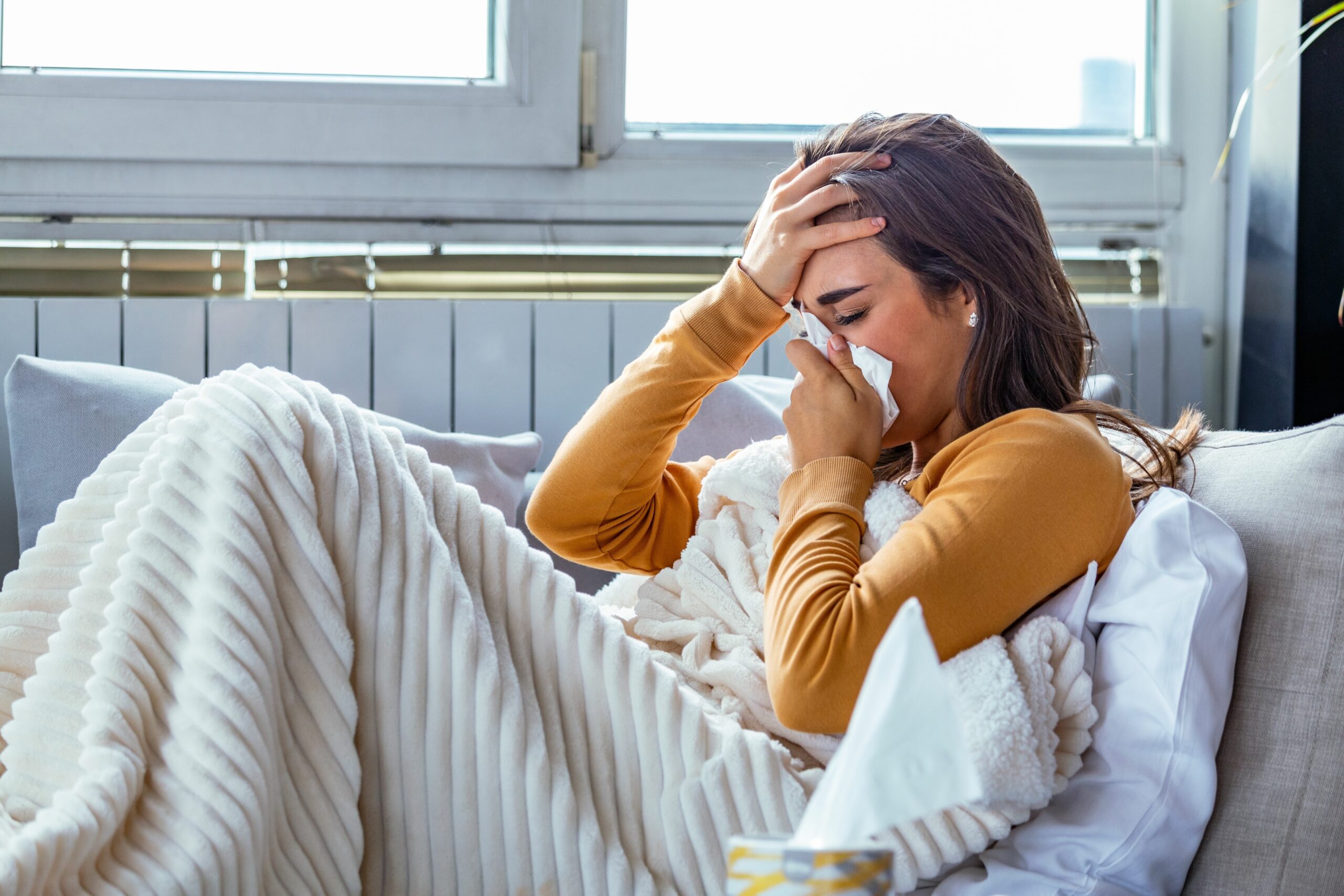chronic sinusitis and allergies: how to stop the cycle of inflammation and infection, allergy medications